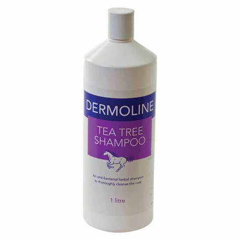 Battles Dermoline Tea Tree Shampoo