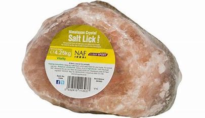 NAF Himalayan Salt Lick