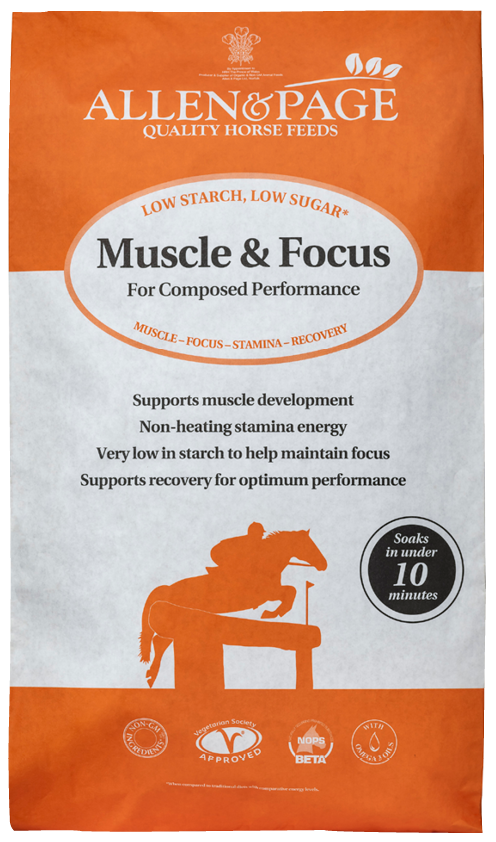 Allen & Page Muscle & Focus Horse Feed 20kg