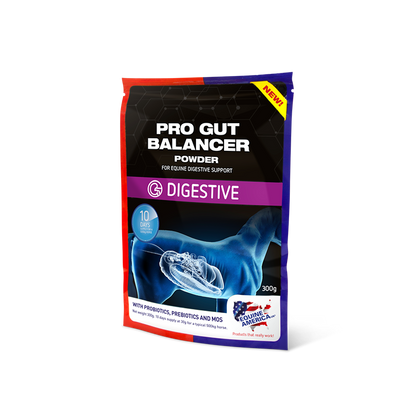 Equine America PRO GUT Balancer