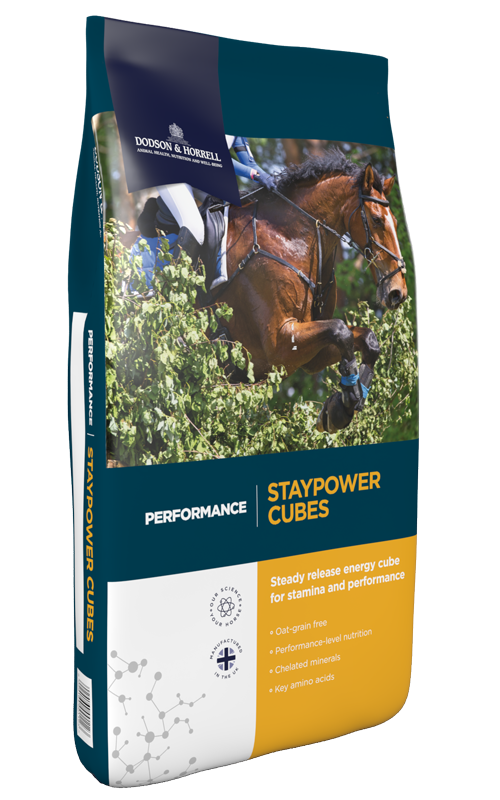 Dodson & Horrell Performance Staypower Cubes