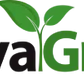 Melcourt SylvaGrow 100% Peat-Free Planter for Organic Growing 45L