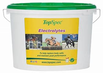 TopSpec Electrolytes Supplement