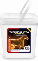 Equine America Turmeric Powder XTRA RTU
