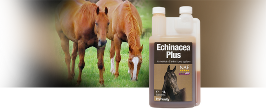 NAF Echinacea Plus Liquid IL