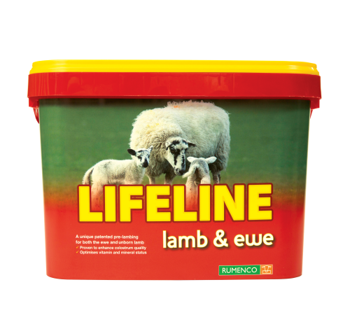 Rumenco Lifeline Ewe & Lamb 22.5Kg