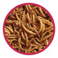 Walter Harrisons High Energy Mealworms