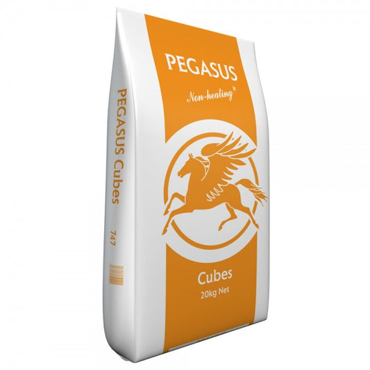 Pegasus Value Cubes from Spillers 20Kg