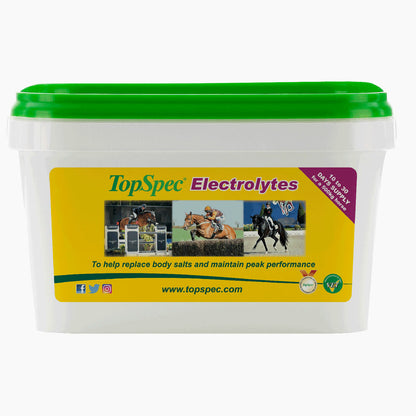 TopSpec Electrolytes Supplement
