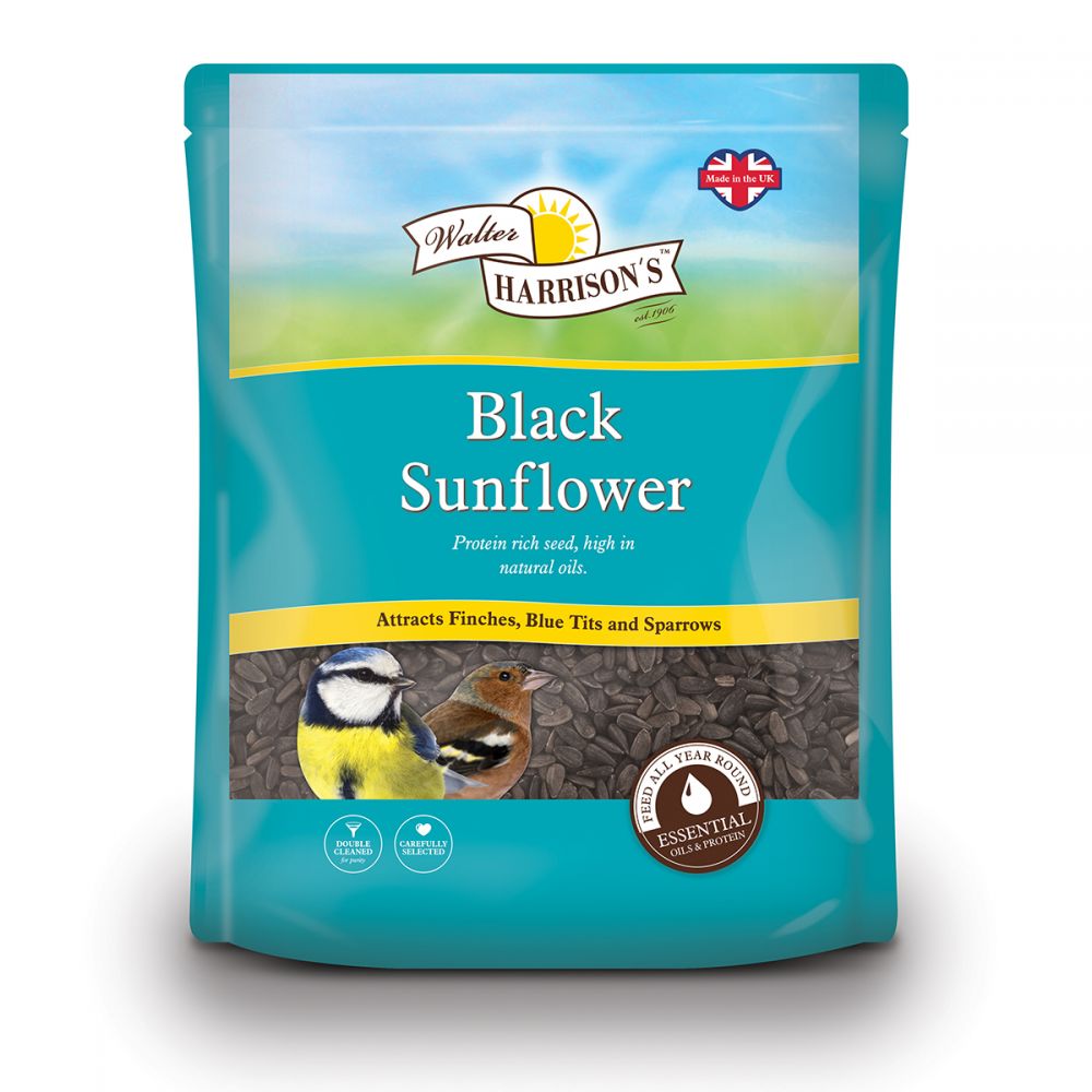 Walter Harrison's Black Sunflower Seed