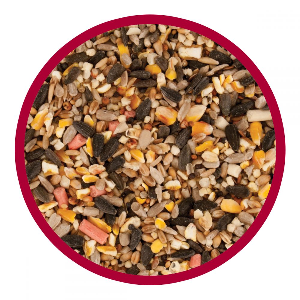 Walter Harrison's Winter & Spring Energy Booster Wild Bird Mix